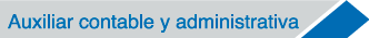 auxiliar contable y adminis