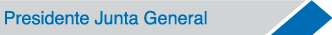 presidente junta general